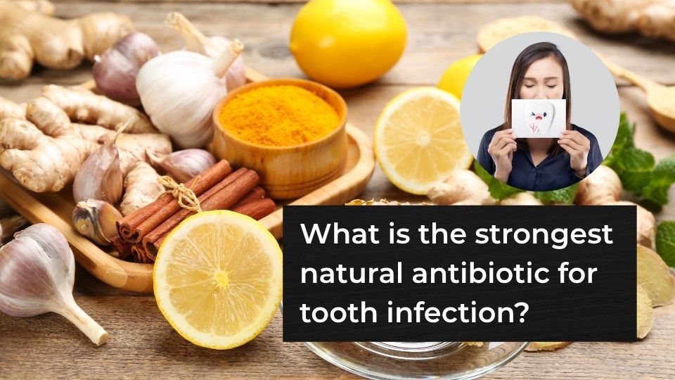 What is the strongest natural antibiotic for tooth infection?